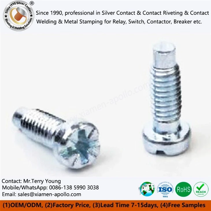 OEM Precision Steel Screws