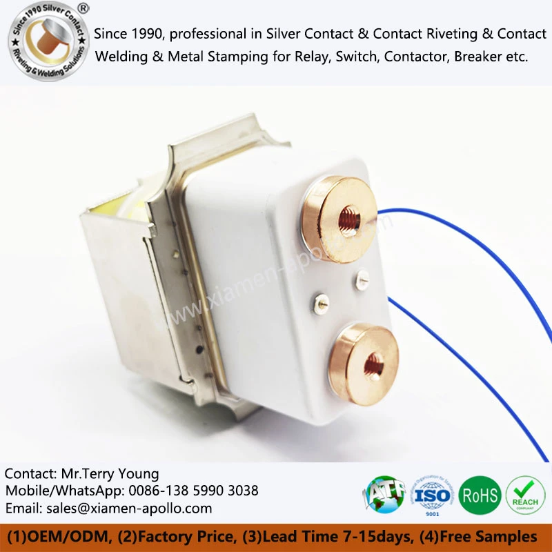Metallized Ceramics Metallized Ceramics